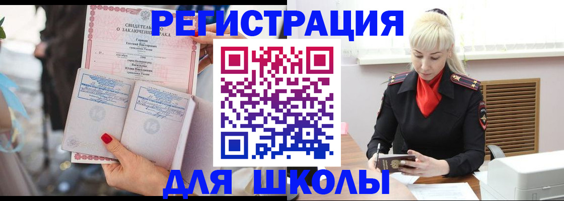 форма 3 в Сольцах